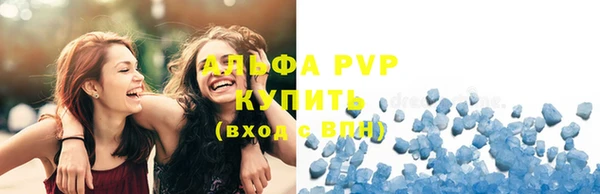 ECSTASY Богородск