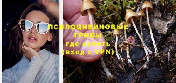 ECSTASY Богородск