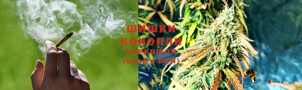 каннабис Богданович