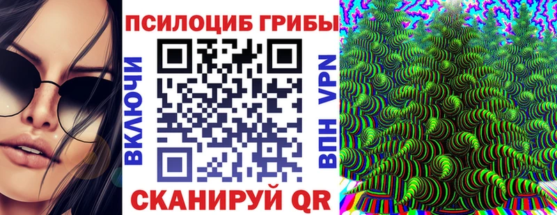 мега ТОР  Кирс  Галлюциногенные грибы мухоморы  купить  цена 